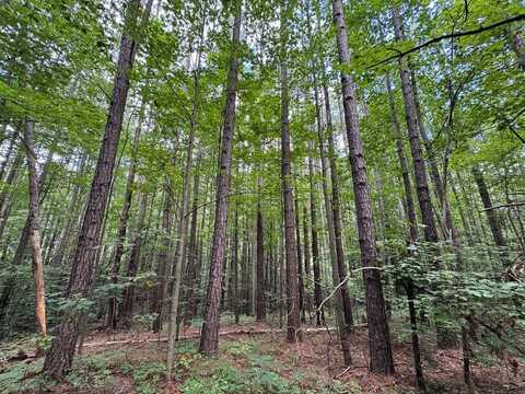 Holiday Lake Road, Appomattox, VA 24522