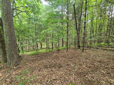Tbd Summerset Dr., Independence, VA 24348