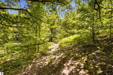 9267 E Grace Drive, Cedar, MI 49621