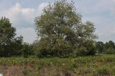 0 Country Acres Drive, Interlochen, MI 49643