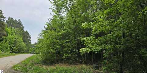 Lot 24 Hagni Road, Kalkaska, MI 49646
