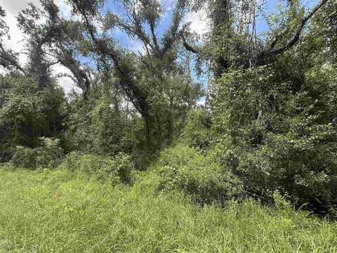 NE River Country Trail, Lee, FL 32059