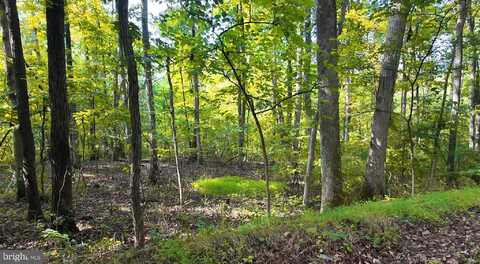 Lot 42 SHALE HILL LANE, AUGUSTA, WV 26704