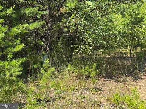 390 FLETCHER, GORE, VA 22637