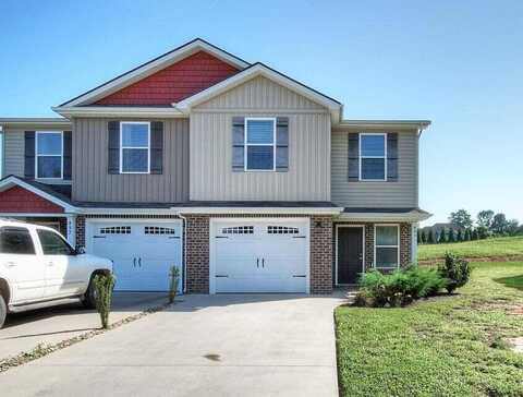 415 Manchester Place, Bristol, TN 37620