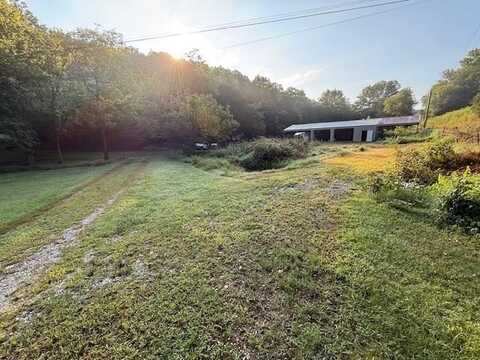 Patterson Ln, Pleasant Shade, TN 37145