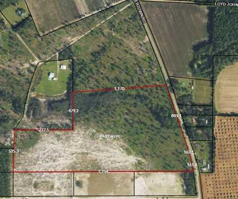 TBD Cartertown Rd, Alma, GA 31510