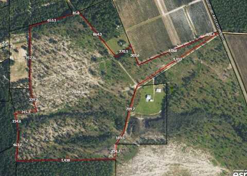 TBD Cartertown Rd, Alma, GA 31510