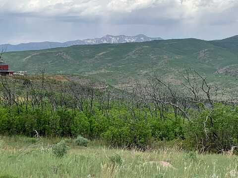 29010 N 8000 E, Fairview, UT 84629