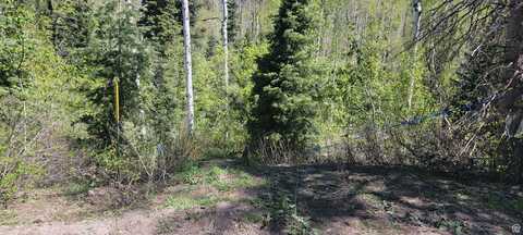 819 NORTH FORK, Mount Pleasant, UT 84629