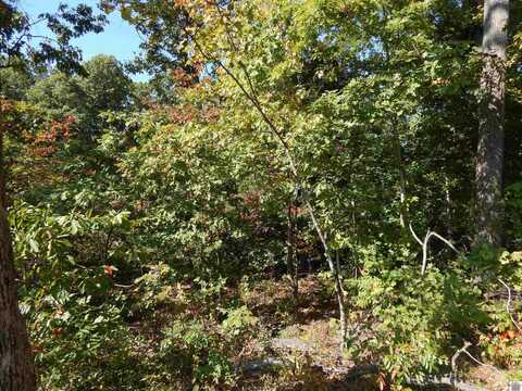 Lot 39 Wallace Cemetery Lane, Gilbertsville, KY 42044