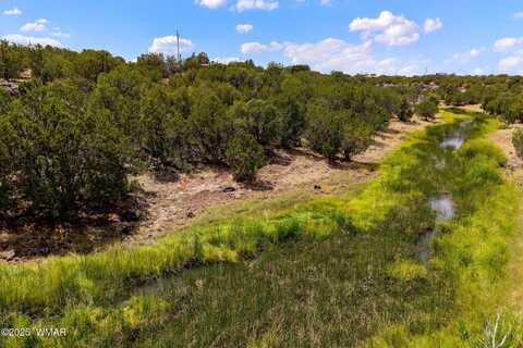 8604 Fox Circle, Show Low, AZ 85901