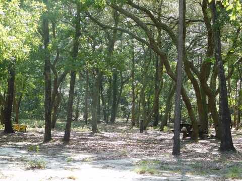 239 River Moss RD, Reidsville, GA 30453