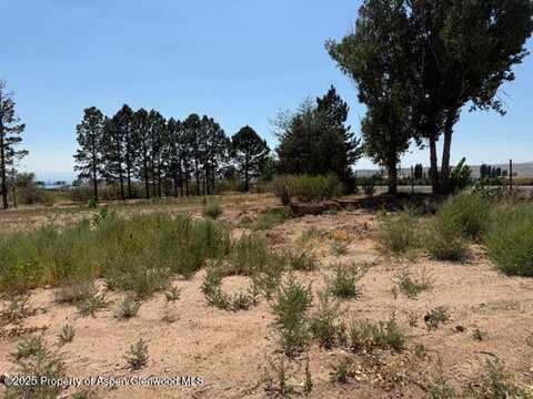 21045 Nowhere Road, Eckert, CO 81418