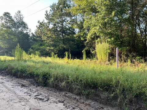 0 Archie Ware Road, Trenton, SC 29847