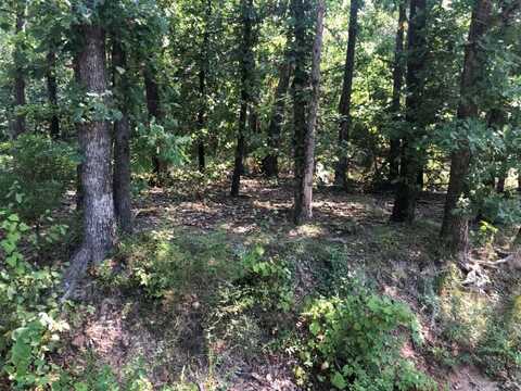 Lot 32 Belgravia DR, Bella Vista, AR 72715