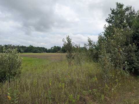 V/L 1AC S River Road, Cheboygan, MI 49721