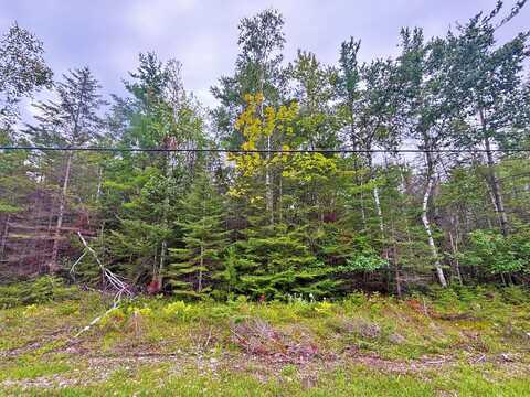 Kauffman Road lot: 305, Presque Isle, MI 49777