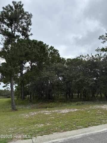 544 Bendigo Passage Court SE, Bolivia, NC 28422