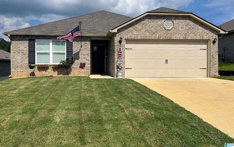 95 BUCKHORN LANE, LINCOLN, AL 35096