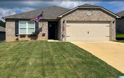 95 BUCKHORN LANE, LINCOLN, AL 35096