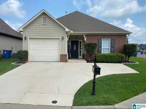 250 FAIRBANK WAY, CHELSEA, AL 35043