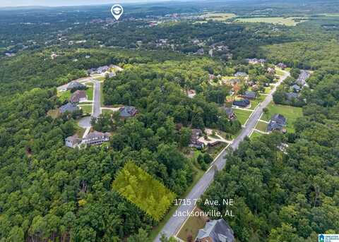 1715 7TH AVENUE, JACKSONVILLE, AL 36265