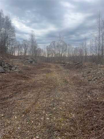 Houck Mountain Road, Walton, NY 13856