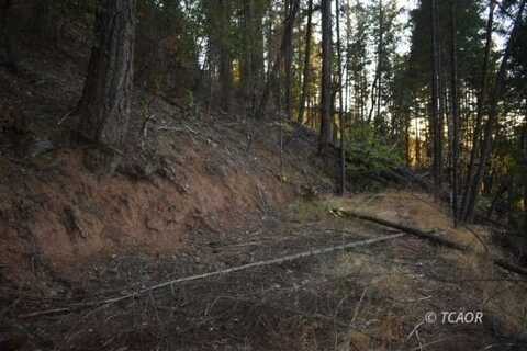 401 Vitzthum Gulch Rd, Douglas City, CA 96024