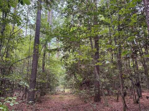 19-12s-16w Ouachita Co., AR, Camden, AR 71701