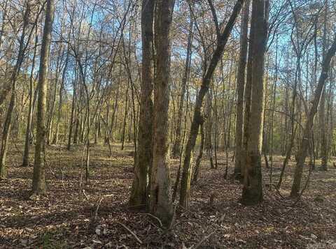 260910 Hollis Rd, Rison, AR 71665