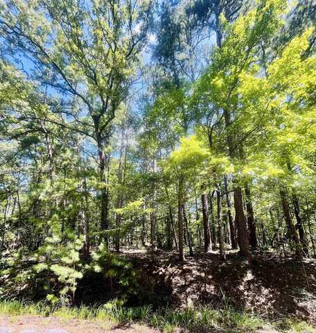 16 Pamplona Lane, Hot Springs Village, AR 71909