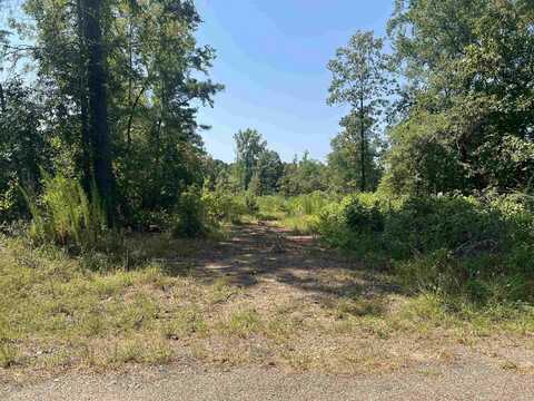 TBD Ozark Loop, Bismarck, AR 71929