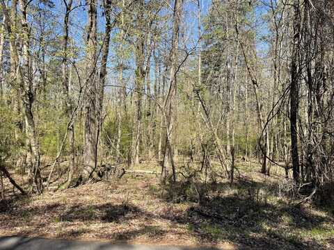 Lot 49 Costa Del Lago Lane, Hot Springs Village, AR 71909