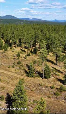 78 Wyatt Ln, Spirit Lake, ID 83869