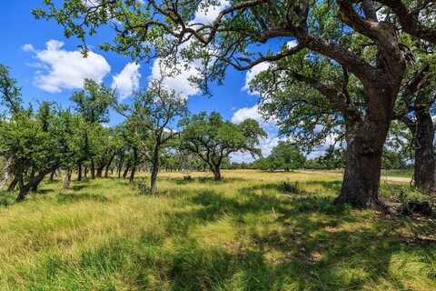 Lot 88 Stock Pond Dr, Harper, TX 78631