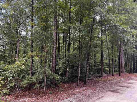 1509 TUPELO Lane, Elgin, SC 29045
