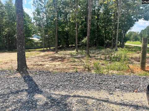 1230 caughman acres Road, Leesville, SC 29070
