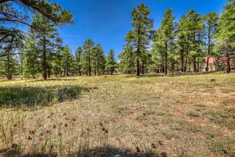 86 Hackamore Place, Pagosa Springs, CO 81147