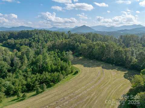 99999 Bob Wright Hill Road, Leicester, NC 28748