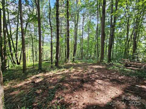 Dolan Road unit: 3, Waynesville, NC 28786