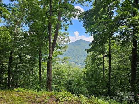 Big Boulder Ridge unit: 9, Maggie Valley, NC 28751
