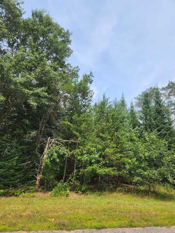 Parcel #0703692 DEWBERRY LANE, Wisconsin Rapids, WI 54494
