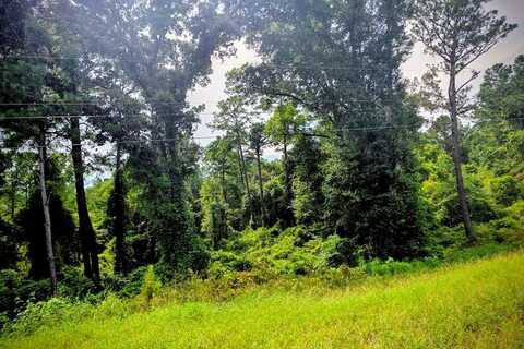 0 COUNTY RD 99, Newville, AL 36353