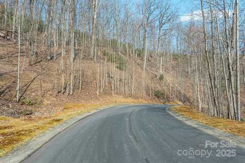 0 Shining Rock Path 11, Horse Shoe, NC 28742