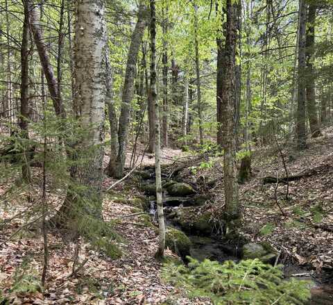 0 Snell Road, Chester, VT 05143