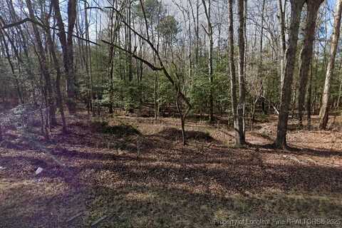 281 Mt Gilead Church Road, Pittsboro, NC 27312