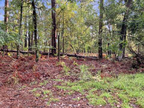 2470 Hancock Landing Road, Waynesboro, GA 30830