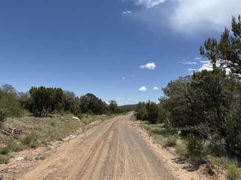 44 Forest Rd 321, Estancia, NM 87016