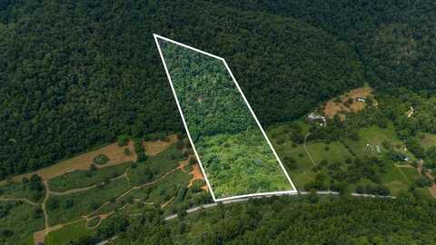TBD COWPASTURE RIVER RD S, WILLIAMSVILLE, VA 24487